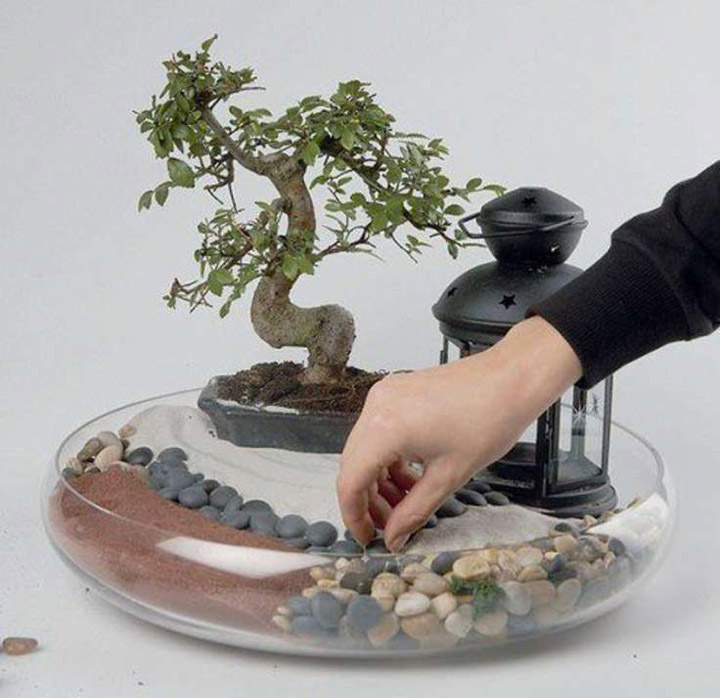 Presente para mulher metalúrgica bonsai