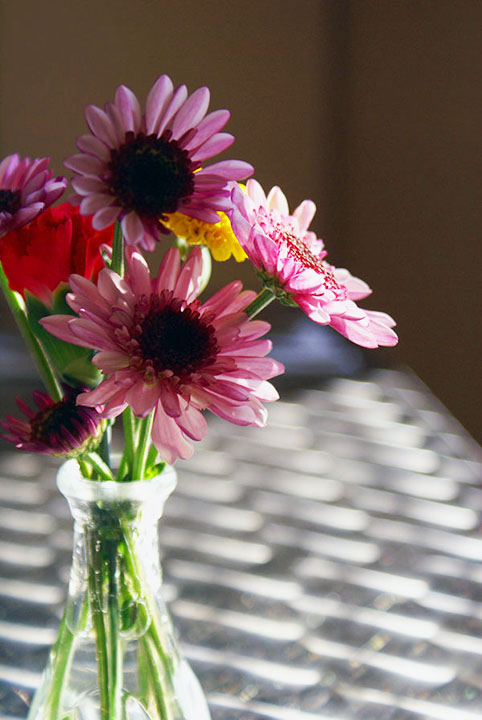 Какие цветы дарить учителю на 1 сентября, чтобы сделать его счастливым