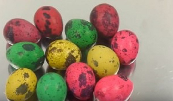 Тонкости покраски перепелиных яиц на Пасху